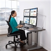 Workrite Ergonomics - Sequoia Monitor Mount