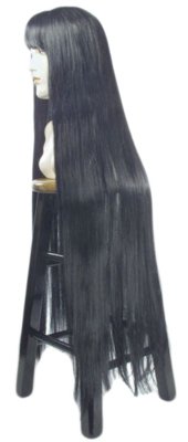 1960s Cher Wig