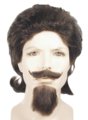 Wig, Mustache and Goatee Set