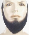 HX-2 Human Hair Beard