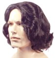 Beethoven Wig