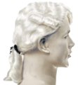 Colonial Aristocrat Wig