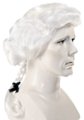 Dollar Bill President George Washington Wig