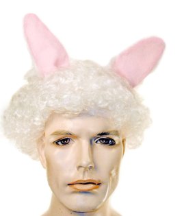 Bunny Rabbit Wig & ears