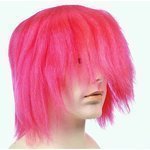 Bargain Silly Boy Wig