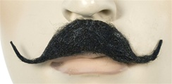 Small English Mustache