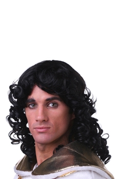 King Charles Wig