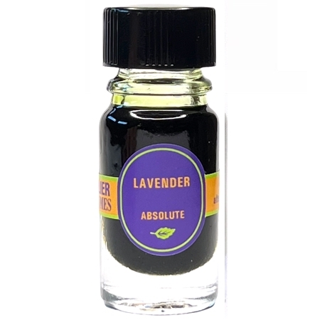 Lavender Absolute