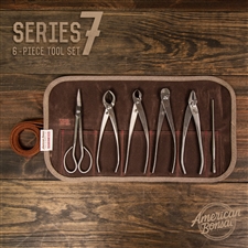 Forged Stainless Steel Series 7 Set: 6 Piece