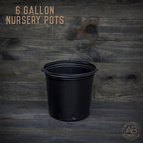 American Bonsai Plastic Nursery Pot: 6 Gallon