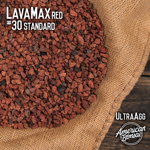 American Bonsai LavaMax Red