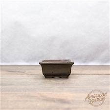 International Bonsai Pot