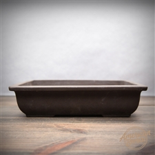 International Bonsai Pot