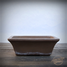 International "Cho" Bonsai Pot