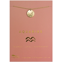 Lucky Feather Aquarius Zodiac Necklace