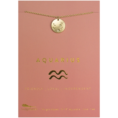 Lucky Feather Aquarius Zodiac Necklace
