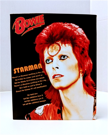DAVID BOWIE "Starman" Ziggy Stardust 8x10 canvas print wall art Rock n Roll collectible