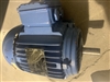 9001579P Motor Weg 0.75Kw 220-380/50-60