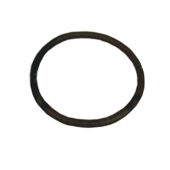 F170143 Gasket Door Uw35