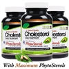 (PACK OF 3 SAVINGS) #1 Natural Healthy Cholesterol Daily Support