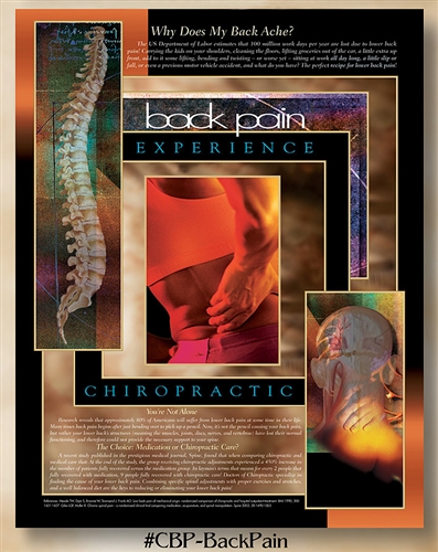 Back Pain: Why Does My Back Ache? 22 x 28 (non-laminated)