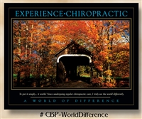 World of Difference: Experience Chiropractic 22 x 28 (non-laminated)