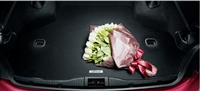 Lexus IS C Trunk Cushion