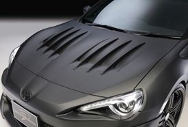 FRS Wald Sports Line Aero Bonnet and Rain Protector