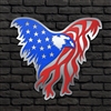 American Flag Eagle 3D