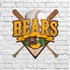 Central Bears High School Baseball