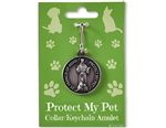 Pet Blessing Collar/Key Tag