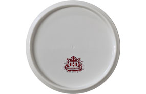 Dynamic Discs Fuzion EMAC Truth - Blank White