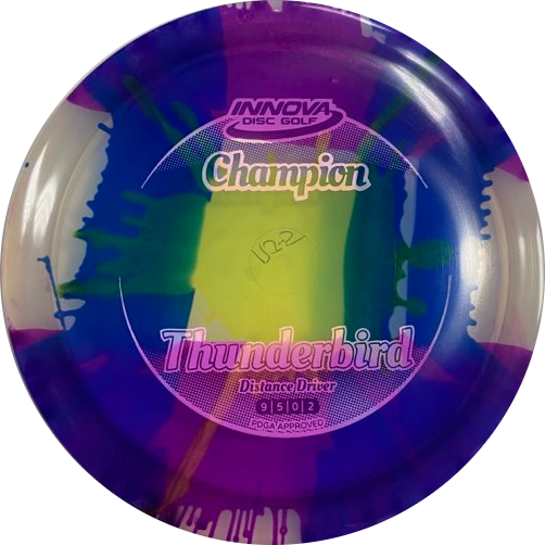 Champion I-Dyed Thunderbird