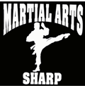 Martial Arts Car Window Decal