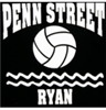 Water Polo Car Window Decal