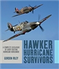 Hawker Hurricane Survivors. Riley.