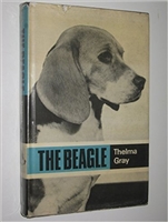 The Beagle