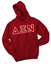 Delta Xi Nu Hoodie