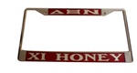 Delta Xi Nu License Plate Frame