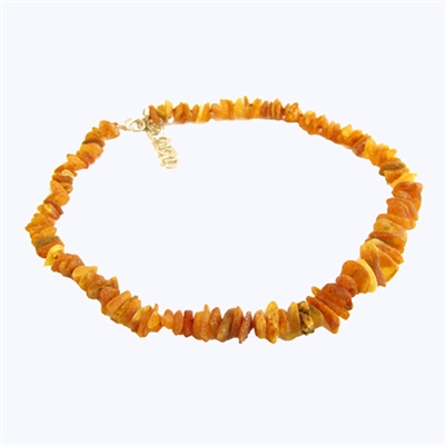 Baltic Amber 13-14 inch Pet Collar