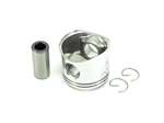 TB-17-44070-00-AM PISTON CONT 2 PORT 37CFM STD