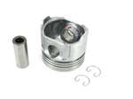 TB-25-39111-03-AM PISTON 75MM 134DI NO RINGS