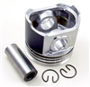 TB-25-39428-00 OEM PISTON ASSEMBLY 25MM VECTOR™