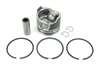 TB-25-39495-00-AM PISTON KIT STD INCLUDES RINGS