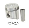 TB-37-11-9043 PISTON W RINGS STD 482 YANMAR