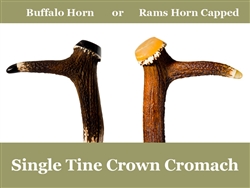 Premium - Red Deer Antler Crown Cromach