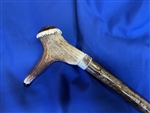 Staghorn with Amber Horn & Ox Horn Crook / Cromach