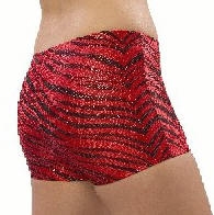 Pizzazz Child Zebra Glitter Boy Cut Brief - 2500ZG - You Go Girl Dancewear