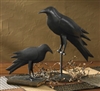 Iron Crow-Large