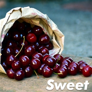 Bing Cherry Tree